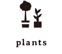 plants